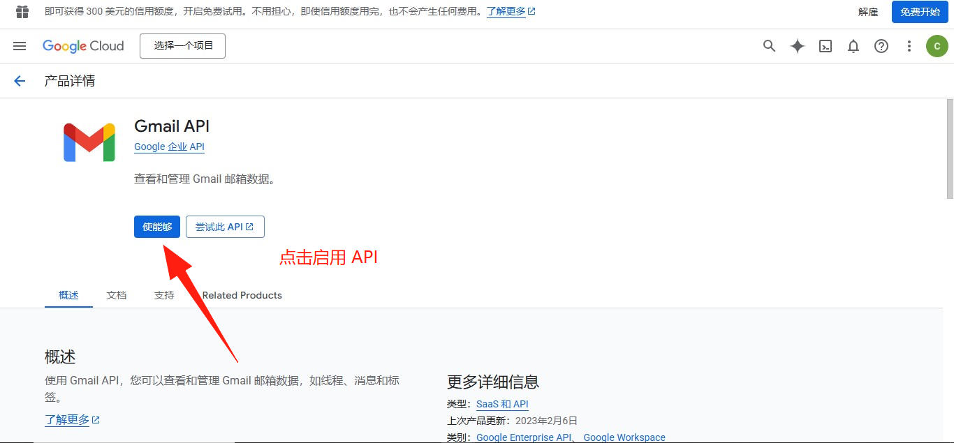 启用 Gmail Api